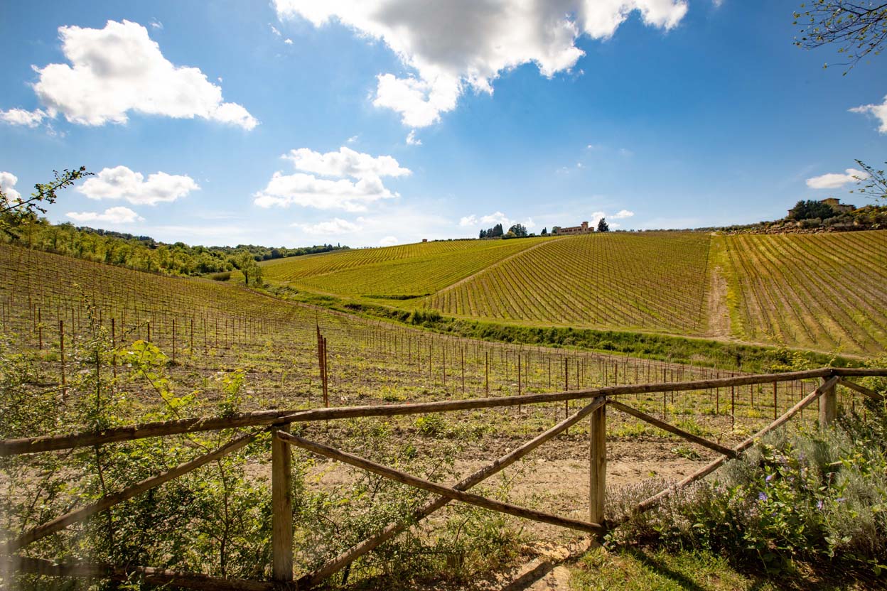 Il Fienile del Vichiaccio holiday house, interior and garden photos
